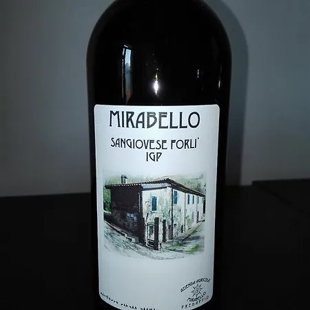 Mirasole Gospodarstwo agroturystyczne