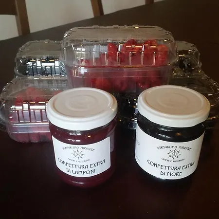 Vakantieboerderij Mirasole Predappio