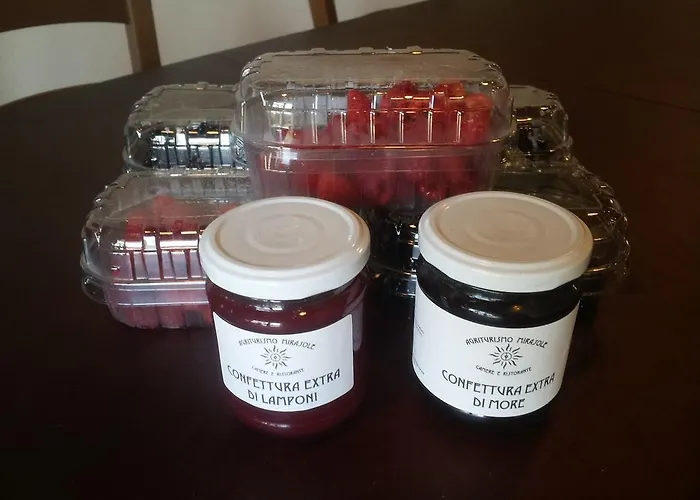 Lantgård Mirasole Predappio